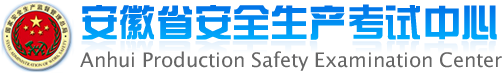 安徽省安全生产考试中心在线模拟考试系统：http://61.132.132.30:8069
